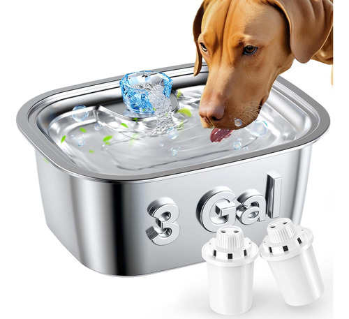 Dog Water Fountain 3 Gallons 11l Stainless Steel Dog Water D