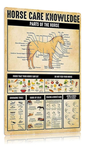 Póster De Conocimientos Sobre El Cuidado Del Caballo, Decora