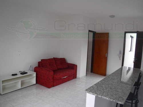Apartamento Studio Para Aluguel, 1 Dormitório(s), 30.0m² - 5317
