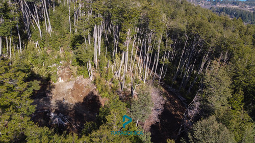 Venta Terreno Uf 13a, Apto 2 Uf, 2.000m2, Con Vista Al Lago En Barrio Exclusivo Cota Mil