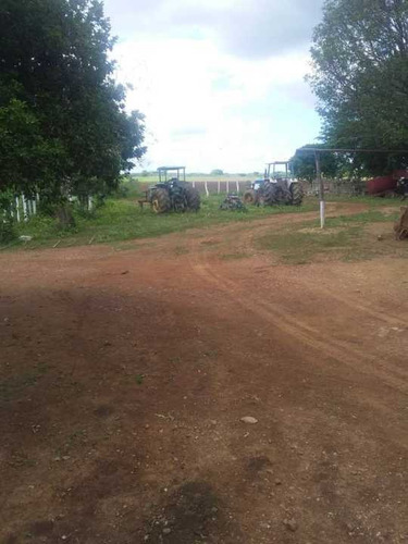 Imagen 12 de 14 de Finca 2.500 Hectáreas En Guárico, Vía El Sombrero