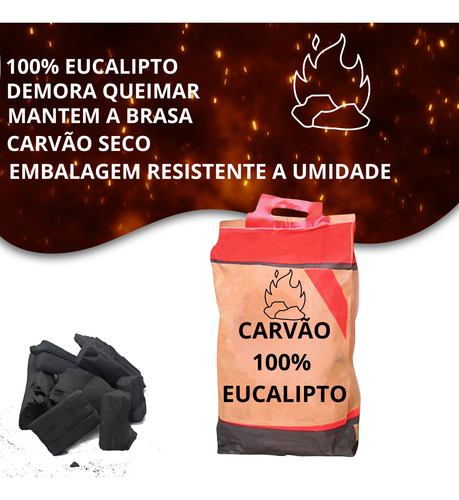 Carvão Vegetal Churrasco Eucalipto 100% Ecologico 10kg