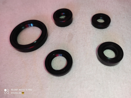 Imagen 2 de 2 de Kit De Retenes Motor Euromot Gxt 200