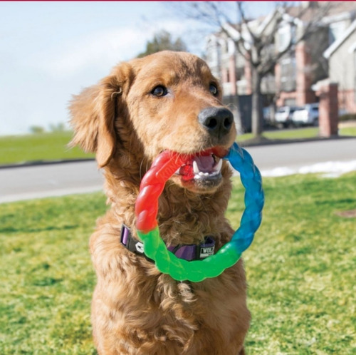 Kong Twistz Juguete Para Perro Para Entrenamiento O Jugar Color Tri Color Verde Con Azul U Rojo