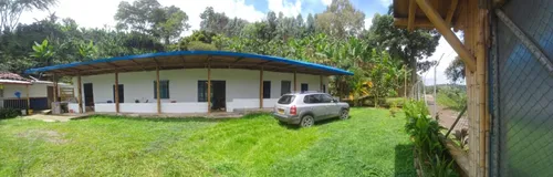 Vendo Finca Productiva En La Vereda La Capilla De Santa Rosa De Cabal 27 Cuadras O 17 Hectareas