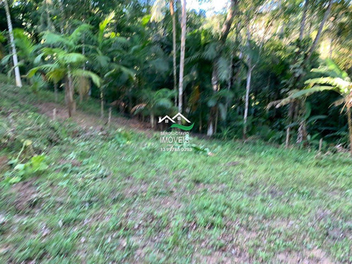 Imagem 20 de 30 de Chácara Com 1 Dorm, Area Rural, Pedro De Toledo - R$ 159 Mil, Cod: 560 - V560