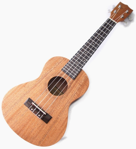 Ukulele Concierto Importado Ukelele Profesional + Forro