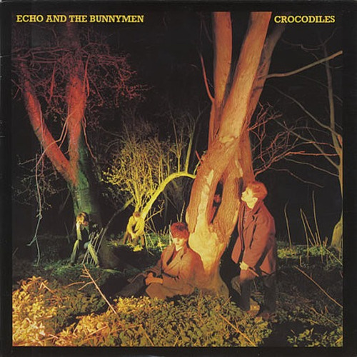 Echo And The Bunny - Crocodiles Vinilo