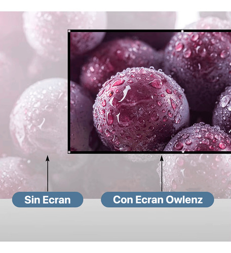 Ecran Pantalla Para Proyector 100 Pulgadas Owlenz Blanco