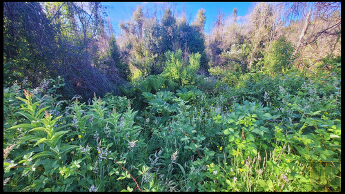 Se Venden Terrenos En Santa Juana , Rural (104525)