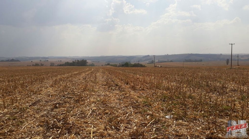 Imagem 28 de 30 de Chácaras_sítios_fazendas Para Venda - 13650.3266