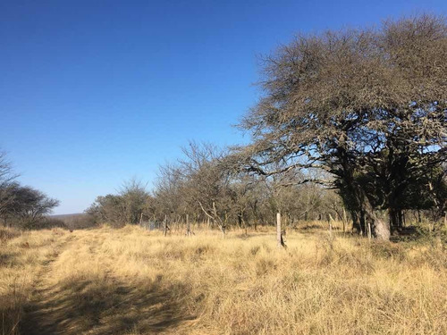 Imagen 2 de 6 de Lote En Venta En Cordoba Calamuchita.