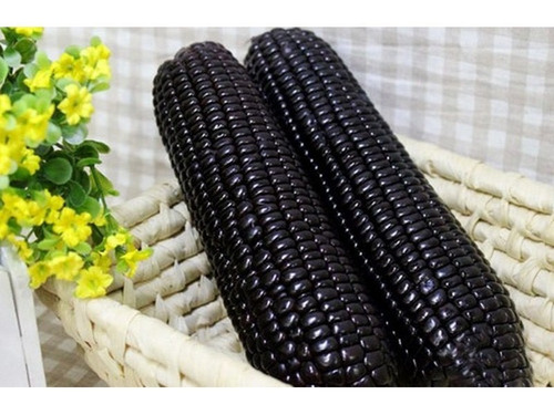 Imagem 6 de 9 de Combo De 3 Milhos Peruanos Preto + Branco E Vermelho Gigante
