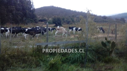 Imagen 5 de 16 de Sitio En Venta En Melipilla