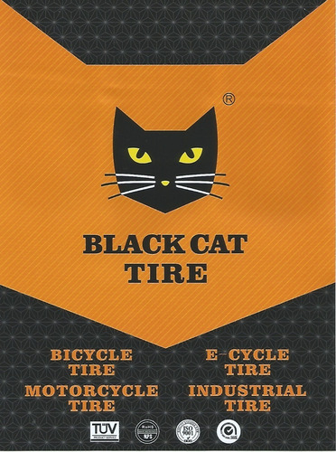 Imagen 5 de 5 de Pack 10 Unidades Camara Bicicletas 700x23/25c 48mm