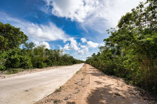 Terreno En Venta, Xpu-ha, Tulum