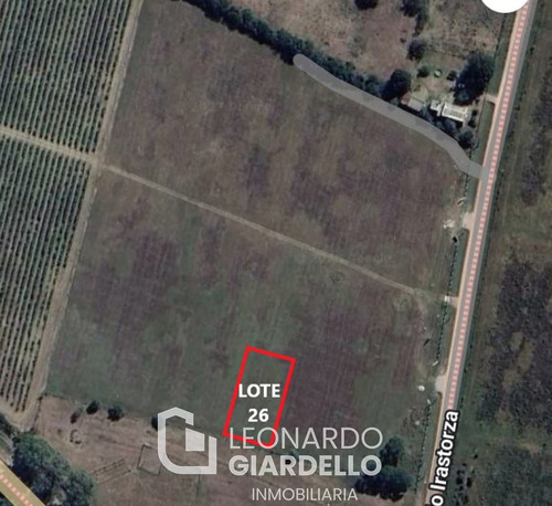 Lote 26 Viñas De Carmelo