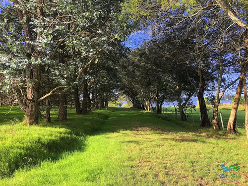 Terreno De Mas De 5000 M2 Con Costa De Laguna En Laguna De Los Cisnes