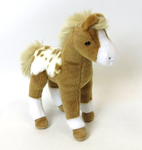 Douglas Freckles Appaloosa Potro 10 Pony
