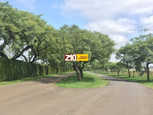Terreno, Em Condômino Em Salto - Te05595 - 32919903