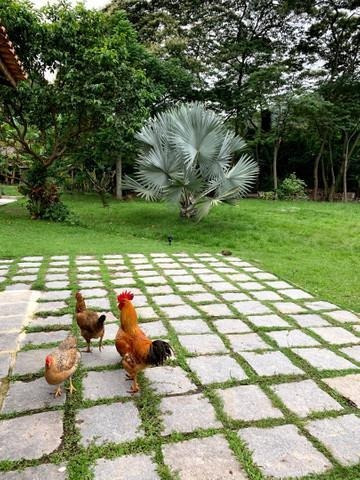 Imagem 8 de 10 de Casa À Venda Por R$ 400.000,00 - Engenho Do Mato - Niterói/rj - Ca1090