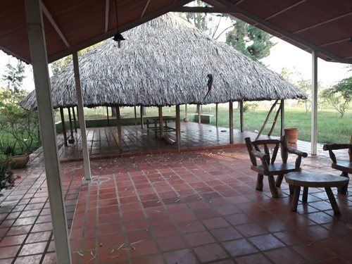 Imagen 6 de 27 de Finca En Venta En La Raya San Timoteo, Zulia
