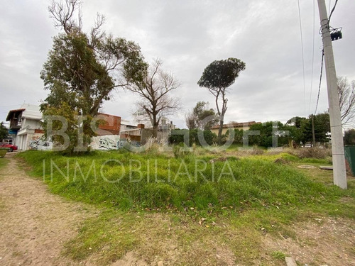 Imagen 18 de 22 de Excelente Terreno Multifamiliar, Hotelero. Zona Centro, Villa Gesell