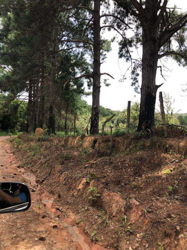 Imagem 4 de 16 de Terreno, Rancho Tucsons, Santana De Parnaíba - R$ 3.82 Mi, Cod: 235496 - V235496