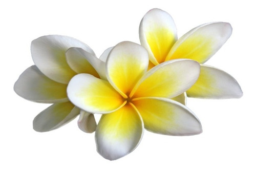 Yves Rocher Exfoliante Corporal En Aceite Monoi De Tahiti