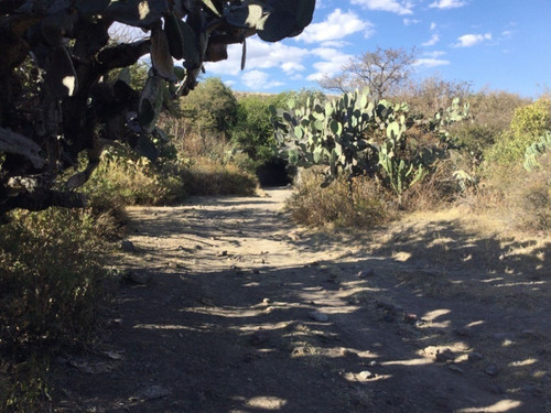 Terreno En Venta En San Sebastián De Las Barrancas San Juan Del Río Querétaro