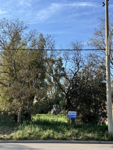 Terreno En Venta En Vicente Lopez 500, Cabildo