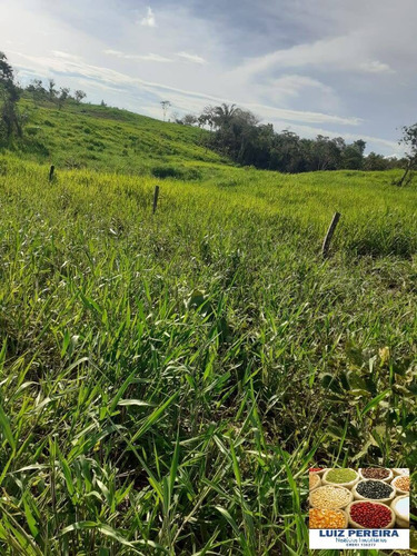 Imagem 14 de 15 de Fazenda À Venda Em Dois Irmãos - To - De 13 Alqueirões (dupla Aptidão) - 1687