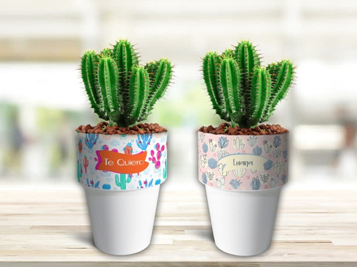 Diseños Para Sublimar Vasos/macetas Motivos Cactus