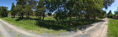 Imagen 2 de 8 de 14 Entre 90 Y 93 - Lote En Venta - Villa Elvira