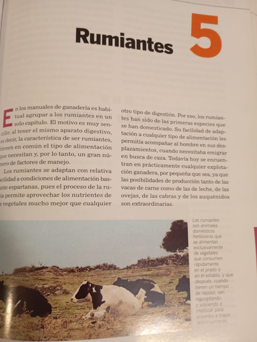 Manual De Crianzas De Animales - Mas Tecnico Apicultor