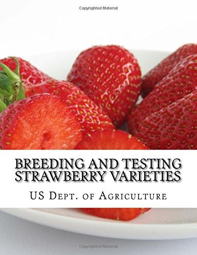 Breeding And Testing Strawberry Varieties