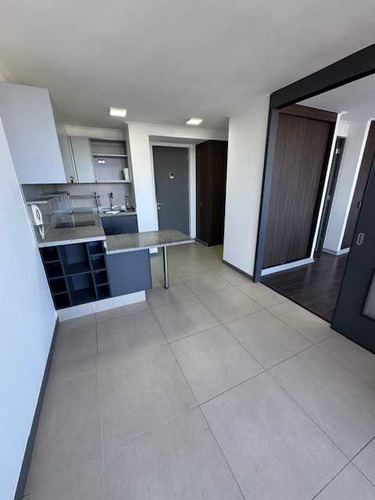 Departamento 1 Dormitorio, Concepción (81112)