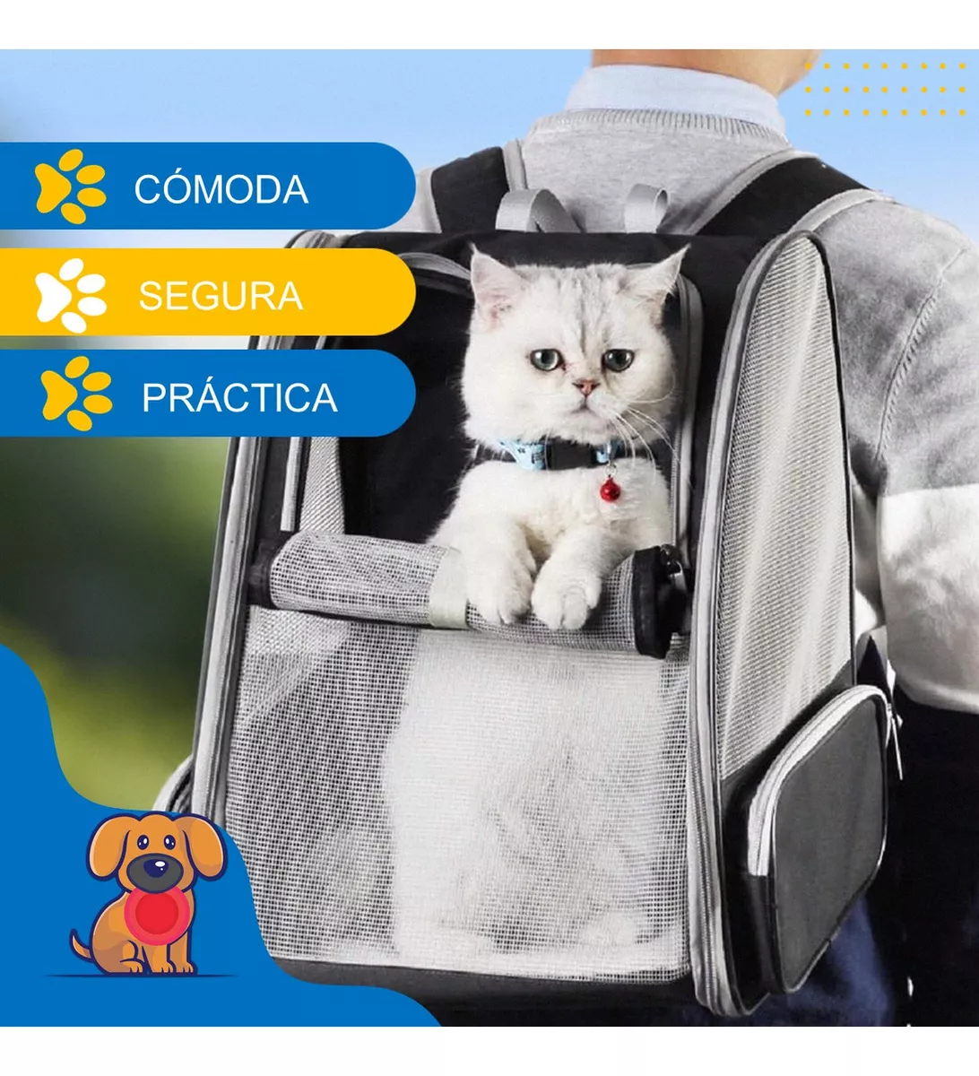 Primera imagen para búsqueda de morral para mascotas