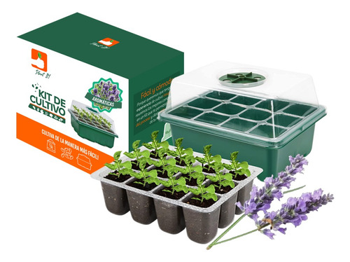 Kit De Cultivo: Plantas Aromáticas