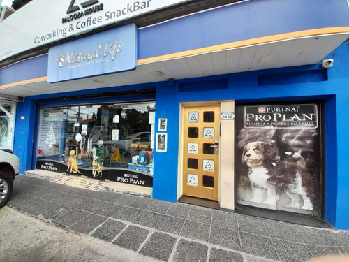 Excelente Local Sobre Av. Sta Rosa