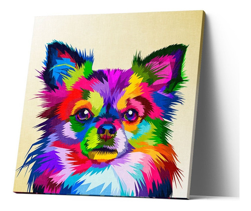 Cuadro Canvas Pomerania De Colores 40x40 Cm