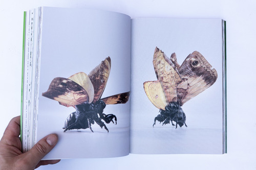 Libro Andres Paredes Con Cubierta Edicion Limitada