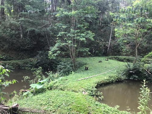 Imagem 20 de 29 de Chácaras À Venda Em Jarinú/sp - Compre O Seu Chácaras Aqui! - 1428340