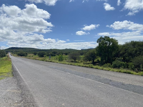 Imagen 5 de 6 de Terreno Comercial En Venta El Sauz