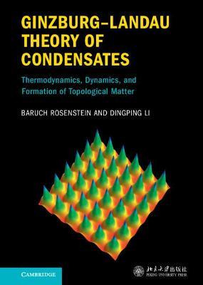 Libro Ginzburg-landau Theory Of Condensates : Thermodynam...