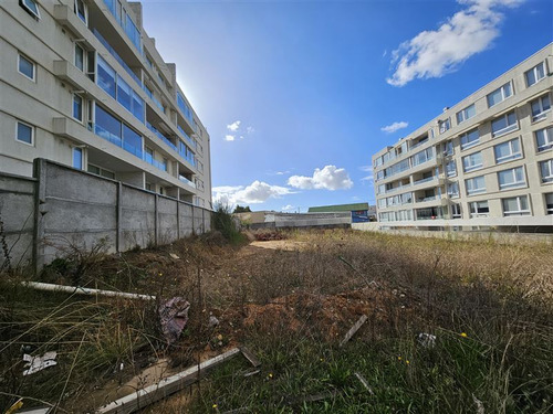 Sitio En Arriendo En Concepción