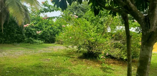 Finca En Venta A 15 Minutos Del Centro De Cerete