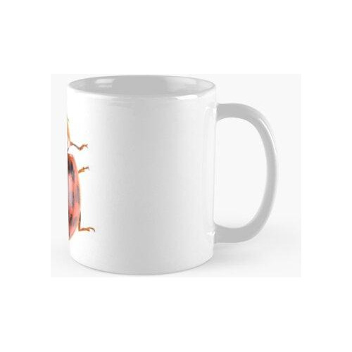 Taza Lady Bug Calidad Premium