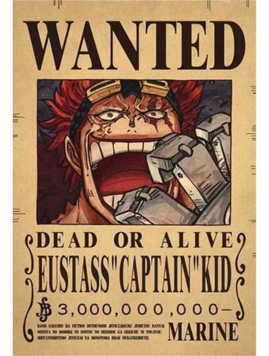 Anime Wanted Cuadro 29x19 Mdf One Piece Kid 3.000.000.000