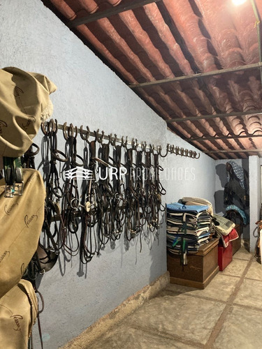 Hermoso Hípico San Luis Con 2 Casas